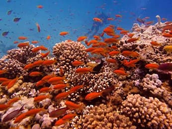Hurghada